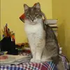 Отзыв от Ульяна Евдокимова
